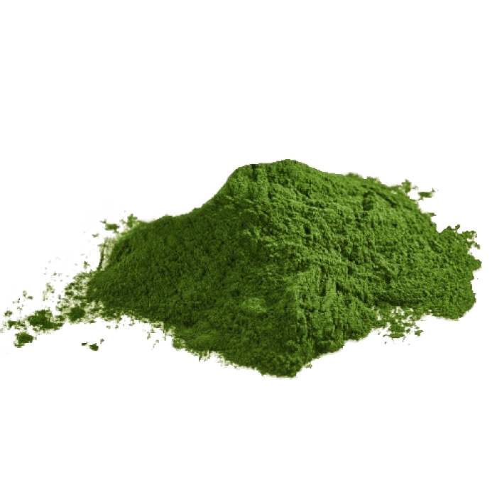 Chlorella prášek