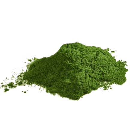 Chlorella prášek